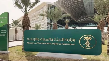 الشركات الزراعية.. البيئة تفتح باب الانضمام للدورة الثامنة للجنة منتجي البذور